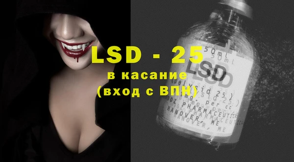 стафф Карпинск