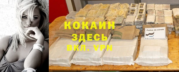 стафф Карпинск